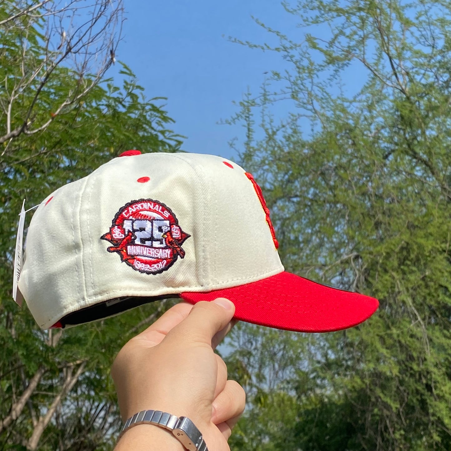 Gorra St. Louis Cardinals New Era SnapBack