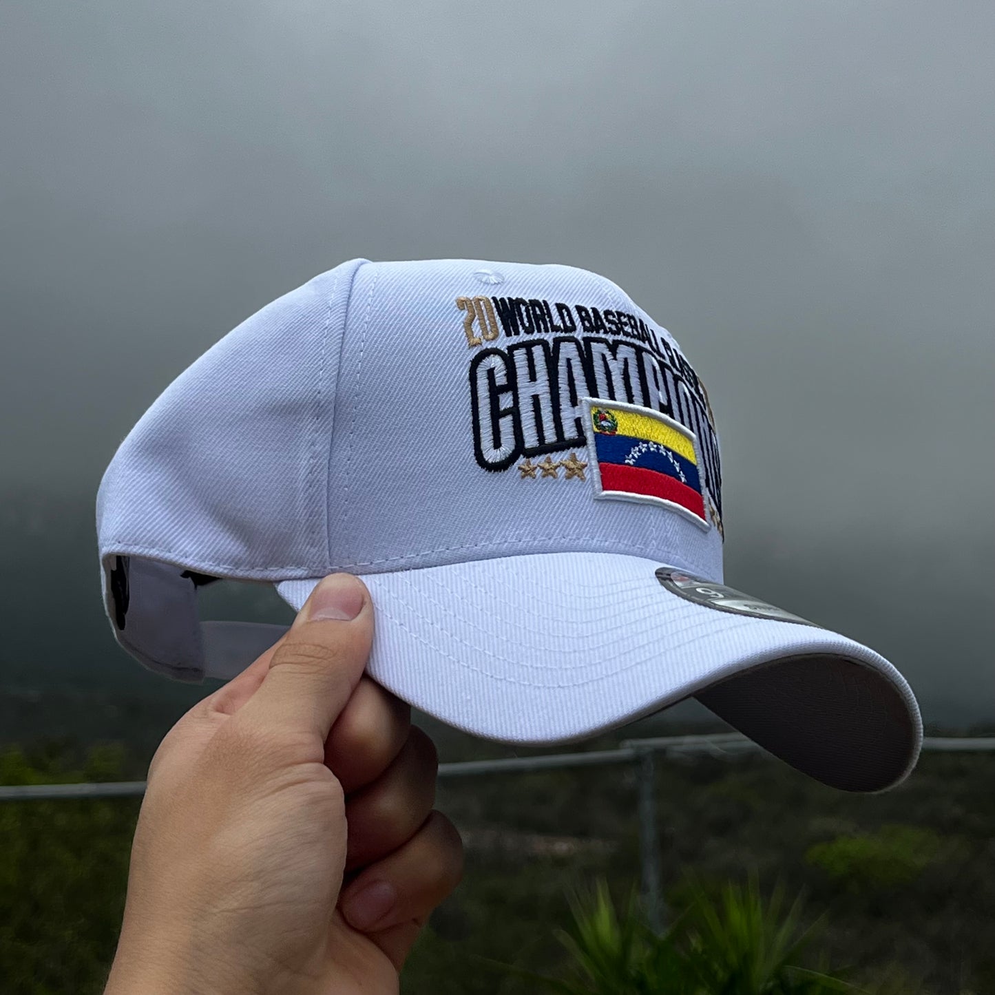 Gorra World Champions Venezuela New Era A-frame SnapBack