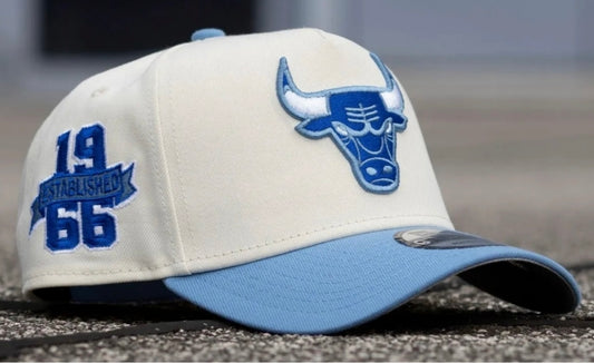 Gorra Chicago Bulls SnapBack